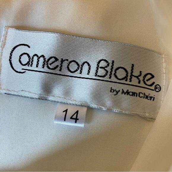 NWT Cameron 14 Blake by Mon Cheri cream draped chiffon down 115606 - Picture 8 of 9